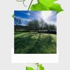 Download track Tasteful Ambiance For Mental Exercises