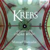 Download track Toccata & Fugue In A Minor, Krebs-WV 411: I. Toccata
