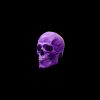 Download track STFU