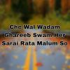 Download track Che Wal Wadam Ghareeb Swam Her Sarai Rata Malum So