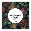 Download track Never Know (Original Mix)