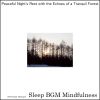 Download track Healing Resonance In The Murmur Of The Stream