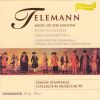 Download track Concerto For Two Chalumeaux In D Minor - II. Allegro