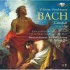 Download track 1. Dies Ist Der Tag - Sinfonia - 1. Allegro Maestoso