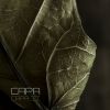 Download track Never Too Late