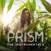 Download track It Takes Two (Instrumental)