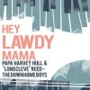 Download track Hey Lawdy Mama - The France Blues