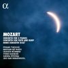 Download track Concerto No. 3 For Horn In E-Flat Major, K. 447: II. Romance (Larghetto)