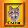 Download track Alienado
