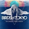 Download track The Saddest Thing I Know