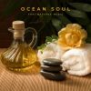 Download track Spa Instrumental Music