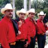 Download track La Lamparita