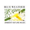 Download track Rain Water