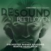 Download track 08. Symphony No. 6 In F Major, Op. 68 Pastoral IV. Gewitter, Sturm. Allegro