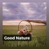 Download track Meditation With Nature, Pt. 1