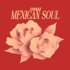 Download track Jugaste Y Sufrí