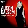 Download track Trumpet Concerto In E-Flat Major, Hob. VIIe: 1: III. Allegro