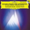 Download track Alpensymphonie, Op. 64 Vision