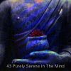 Download track Calm With Yoga