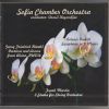 Download track Etudes For String Orchestra- Etude N 2, Allegro Moderato