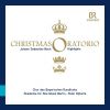 Download track Weihnachts-Oratorium, BWV 248, Pt. 3 (Highlights): No. 31, Schliesse, Mein Herze, Dies Selige Wunder