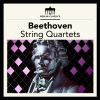 Download track String Quartet No. 16 In E-Flat Major, K. 428 / 421B: Andante Con Moto