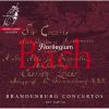Download track 05 - Brandenburg Concerto No. 5 In D Major, BWV 1050- II. Affettuoso