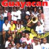 Download track Fiesta Llanera: Carmentea / A Usted / Guayabo Negro / Ay Si Si