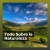 Download track Steep And Narrow