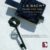Download track Organ Sonata No. 4 In E Minor, BWV 528 (Arr. For Recorder & Harpsichord By Lorenzo Cavasanti & Alessandro Padoan) III. Un Poco Allegro
