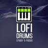 Download track Study Beat Lofi Drum Patterns