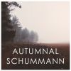 Download track Davidsbündlertänze, Op. 6 No. 16 Mit Gutem Humor