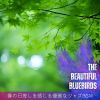 Download track Awakening Of The Cherry Groves
