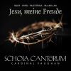 Download track 02 - Es Ist Nun Nichts Verdammliches (Chorus)