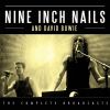Download track The Voyeur Of Utter Destruction (As Beauty) (Live At The Shoreline Amphitheatre, Mountain View, Ca 1995)