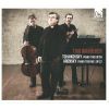 Download track 12. Tchaikovsky - Piano Trio N A Minor Op. 50 - Var. VI. Tempo Di Valse -