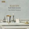 Download track 9. Sonata In A Major Hob. XVI: 12 - II. Menuet  Trio
