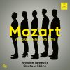 Download track String Quintet No. 4 In G Minor, K. 516 - IV. Adagio: Allegro