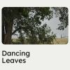 Download track 1 Hour Of Night Time Nature Sounds, Pt. 8