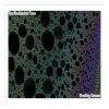 Download track Safe Dream