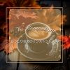 Download track Cozy Jazz In Sunlit Days