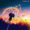Download track Space Thoughts