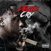 Download track Devil's Cry