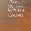 Download track Autumn Colors
