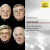 Download track String Quartet No. 1 In D Major, Op. 11, TH 111: IV. Finale. Allegro Giusto