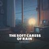 Download track The Rain's Soft Solace