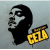 Download track Araba