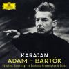 Download track Mass In B Minor, BWV 232: J. S. Bach: Mass In B Minor, BWV 232: Credo: II. Patrem Omnipotentem (Chorus)