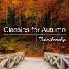 Download track Scene 1: Pas De Trois - Variation 1 (Allegro Semplice)