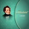 Download track Liebhaber In Allen Gestalten, D. 558
